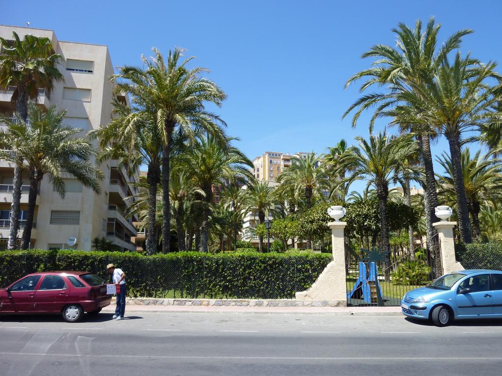The Cozy Apartment Torrevieja Room photo